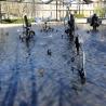 images/galerien/2017/27.03.2017 Einladung K. Gempp, Basel/IMG_4000.jpg